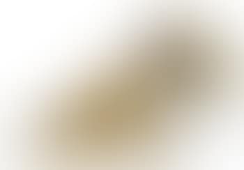 A fox terrier (preview)