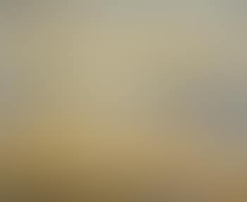 Landscape, Le Bassin d'Arcachon (preview)