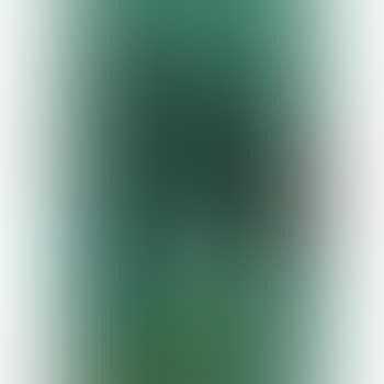 Composition No.25 (preview)