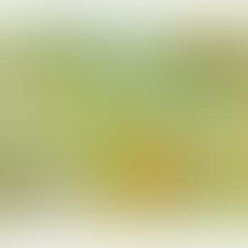 Woman In A Flower Garden (preview)