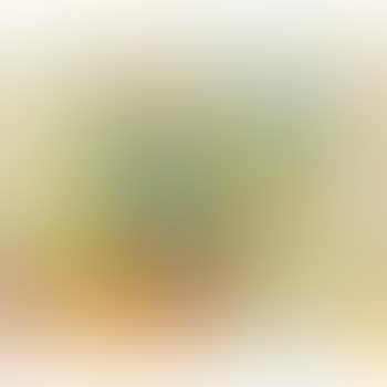 Les Tulipes Jaunes (Yellow Tulips) (preview)