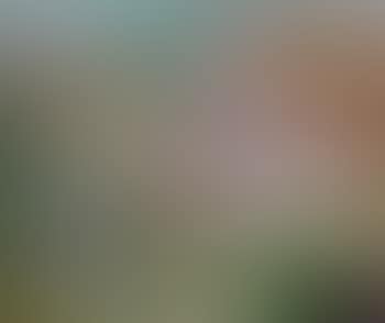 Arbre en fleurs dans un jardin (preview)