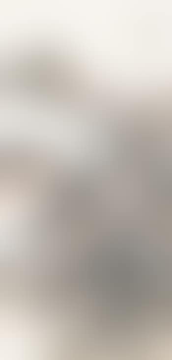 Landscape (preview)