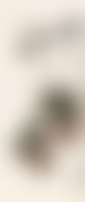 Lychee (preview)