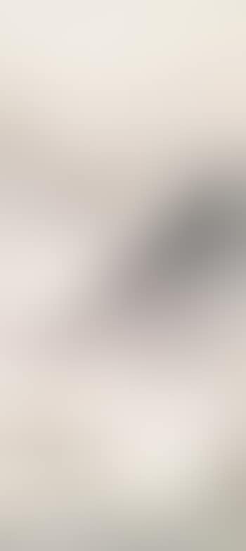 Landscape (preview)