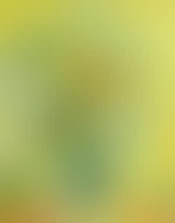 Flowers in a vase (preview)