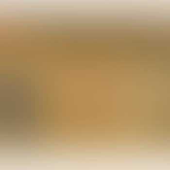 The Lioness (preview)