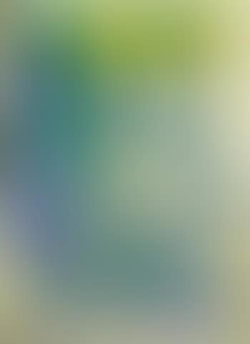 S (preview)