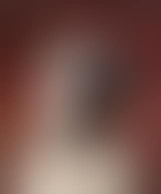 Pug. Newfoundland (preview)