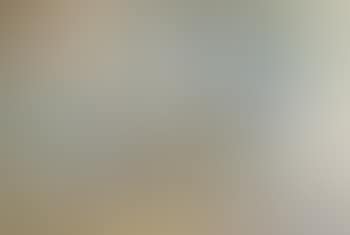 Abstract (preview)