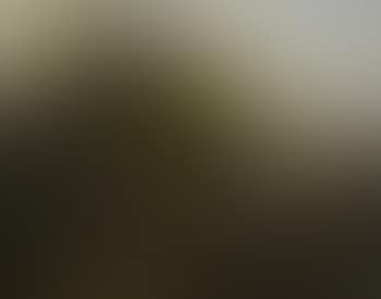 Eichenwald mit Figurenstaffage (preview)