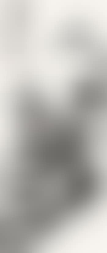 Bamboo (preview)