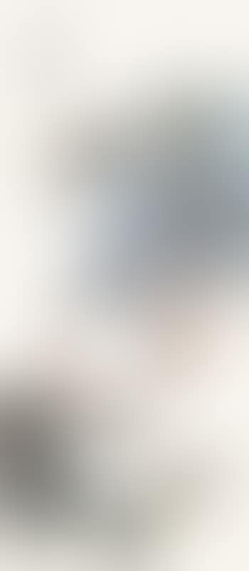 Figure (preview)