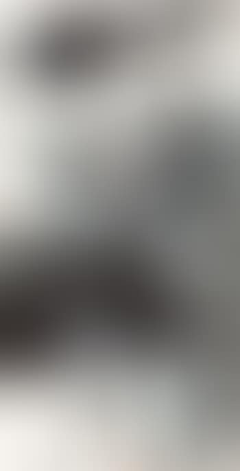 Lotus (preview)