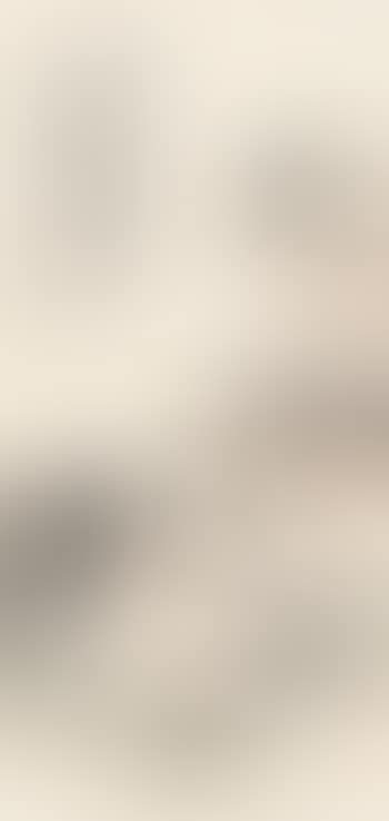 Landscape (preview)