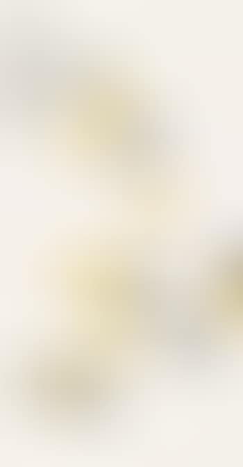 Chicken (preview)