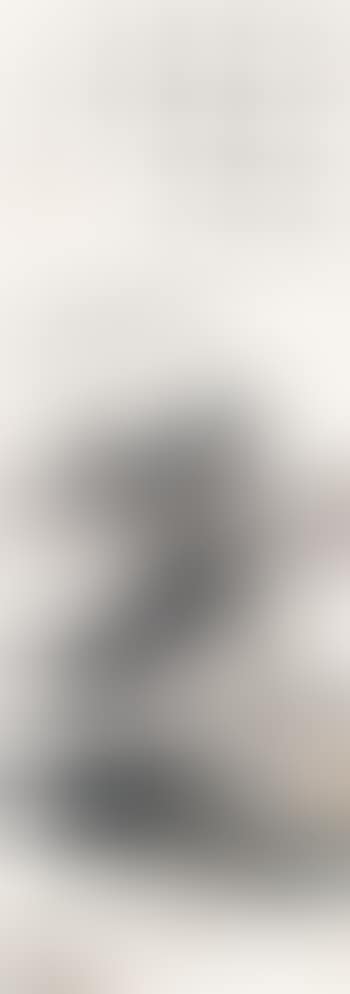 Landscape (preview)