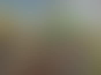 Cloudy sky, trees and riverbed (preview)