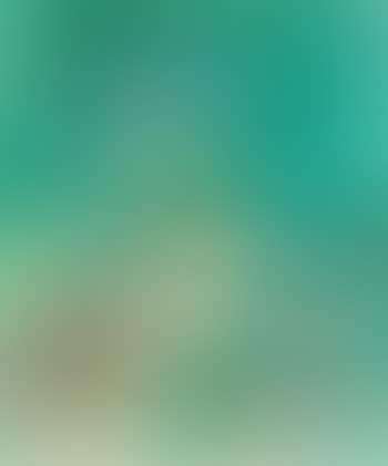 Båstad (preview)