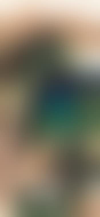 Landscape (preview)