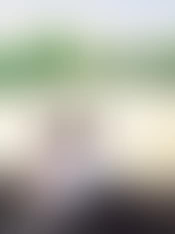 Dream (preview)
