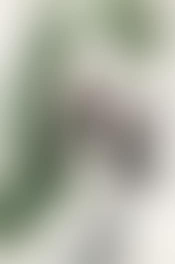 Red-crowned crane (preview)