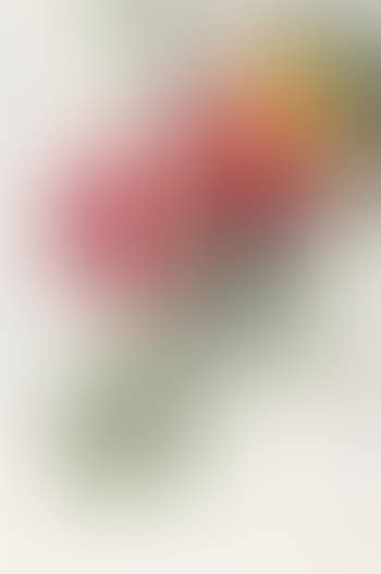 Peaches (preview)