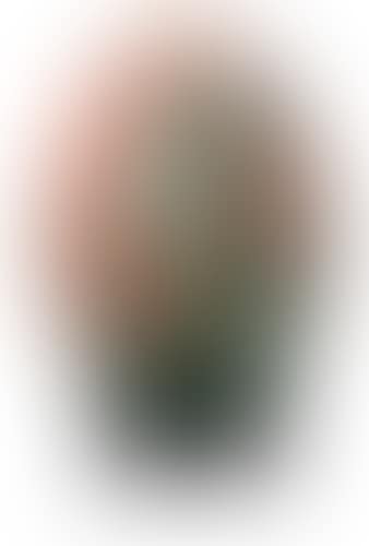 Egg (preview)