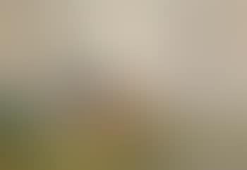 Landschaft in Ostfriesland (preview)