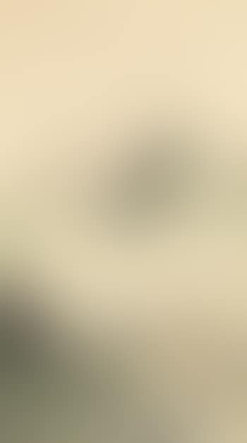Landscape (preview)