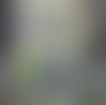 Still life (preview)