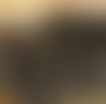 Landscape (preview)