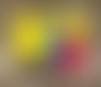 Blue dog: yellow, orange, red, and blue (preview)