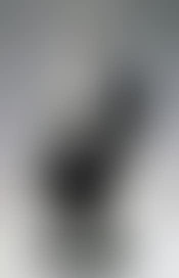 Amitabba buddha (preview)