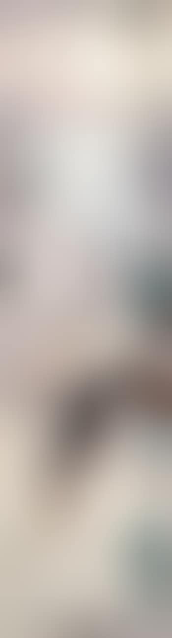 Bird (preview)