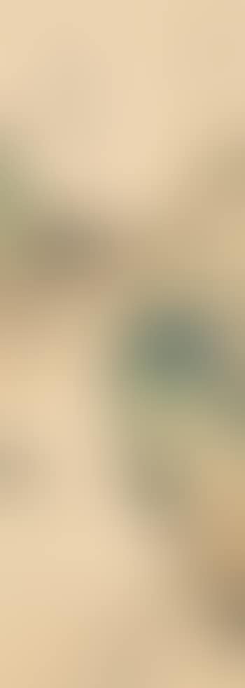Landscape (preview)