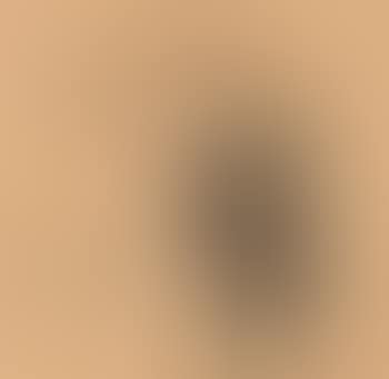Flower in an ancient wine vessel (preview)
