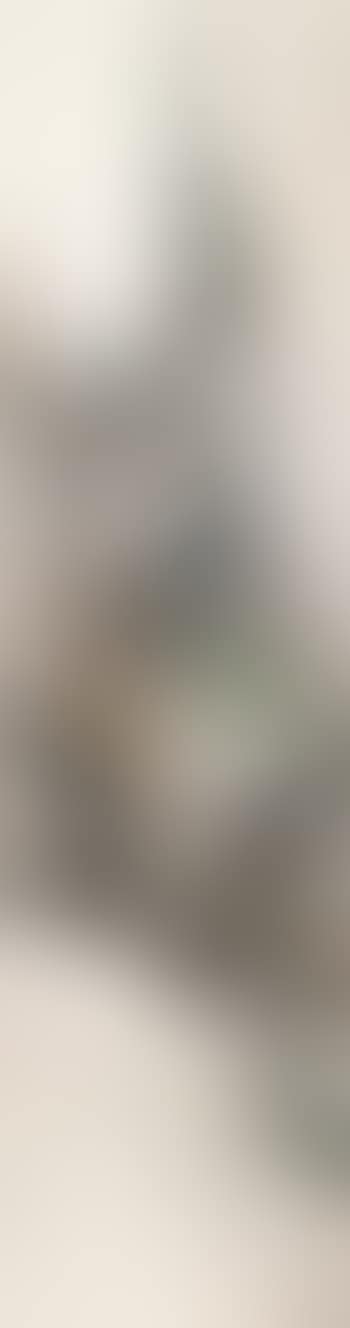Animal (preview)