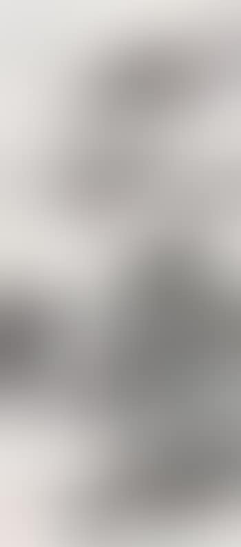 Landscape (preview)