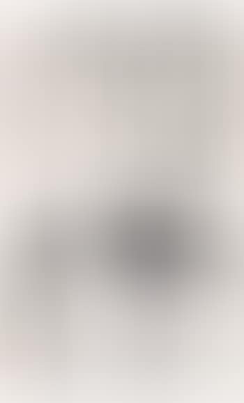 [Untitled] (preview)