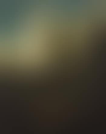 Landschaft mit Kapuzinermönchen und Bauern (preview)