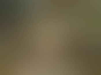 Hirtin mit Ziegenherde (preview)