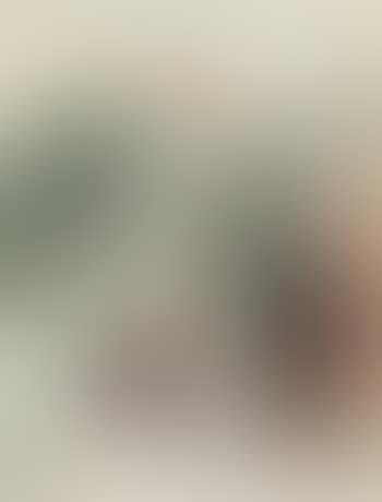 Landscape (preview)