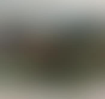 Landscape (preview)