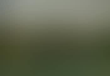 Paysage (preview)