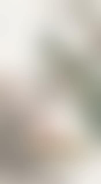 Peacocks (preview)