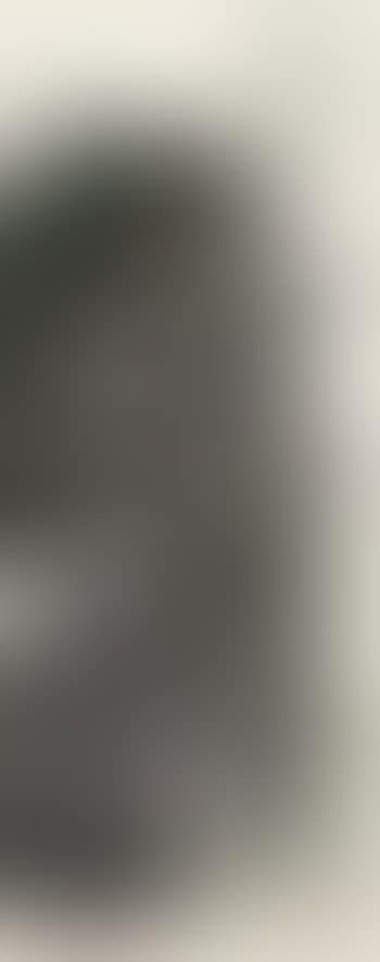 Landscape (preview)