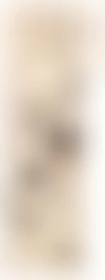 Dog (preview)
