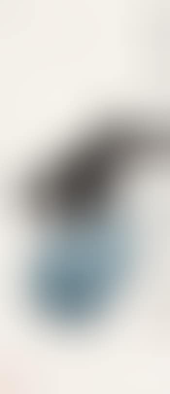 Crow and white gourd (preview)