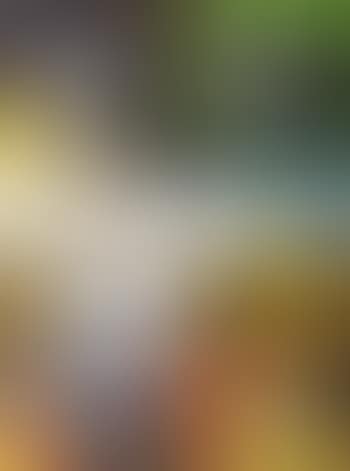Painter's view (preview)